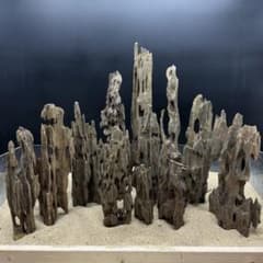 MMW-7197 マシンガンウッド12本セット 流木 アクアリウム - メルカリ