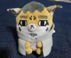 *님 도부츠 포제 오가타 모모노스케