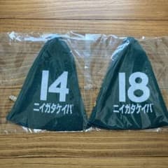 新潟競馬場　サウナハット　2枚のサムネイル
