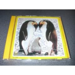 たま様専用  DVD 『小さな南極探検隊』ナショナル・ジオグラフィックのサムネイル