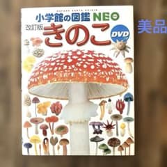 小学館の図鑑NEO 【改訂版】きのこ、シール、DVD付き 【未使用、美品】のサムネイル