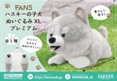 ハスキーの子犬ぬいぐるみXL プレミアム　新品タグ付き
