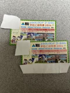 読売ランド　プール招待券(平日限定)2枚のサムネイル