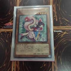 シラユキ 遊戯王のサムネイル