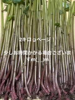山育ち 天然赤ミズ2kgページのサムネイル