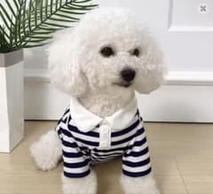 新品未使用 犬服 Mサイズ 小型犬 ボーダー ポロシャツのサムネイル