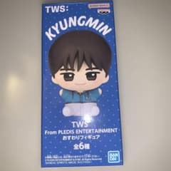 TWS KYUNGMIN ギョンミンおすわりフィギュア F箱から出し中身のみ発送