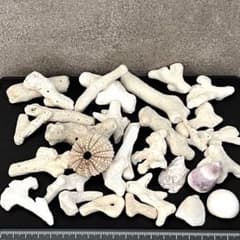 珊瑚サンゴ 貝殻 インテリア 置物 ハンドメイド 手作り 水槽 素材 海