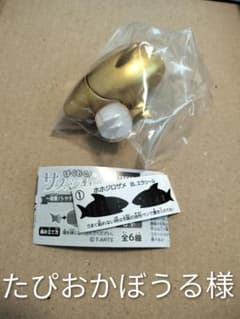 サメジャー 金のサメのサムネイル
