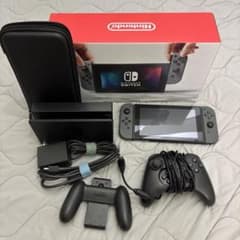Nintendo Switch 本体 グレー ホリコン付き キャリングケース付き