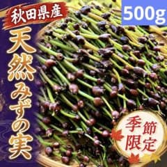 新鮮山菜】天然みずの実 ミズのコブ 500g以上⑩ - メルカリ