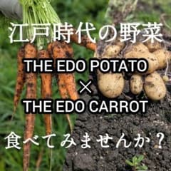 THE EDO POTATO × CARROT【ニンジン、じゃがいも】5キロ THE EDO POTATO × CARROT【ニンジン、じゃがいも】5キロ - メルカリ