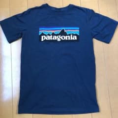 パタゴニア Tシャツのサムネイル