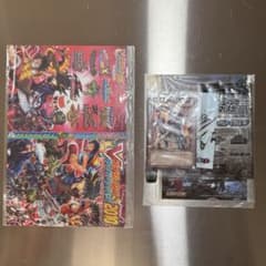 Vジャンプカードフェスタ2010、2011 カードファイル 未開封 - メルカリ