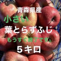 青森県産【小さい葉とらずふじ】訳ありご自宅用になりますのサムネイル
