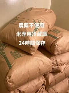 虹の煌めき 10kg 農薬不使用 国産玄米 農家直送 単一品種 専用冷蔵庫