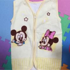 ディズニー×ベストのサムネイル