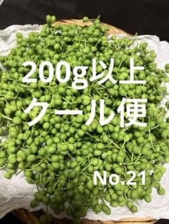 21天然 山椒の実 採りたて 青森産 - メルカリ