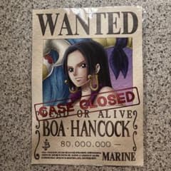 【Rapukuma様専用】ONE PIECE 海軍発行公開手配書ボア・ハンコックのサムネイル