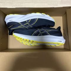 ASICS GT-2000 12 メンズ 28.0cmのサムネイル