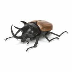 ゴホンツノカブト かぶとむし02 バンダイのサムネイル