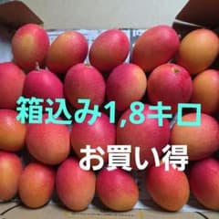 宮崎県産完熟ミニマンゴー 家庭用 箱込み1,8キロ - メルカリ