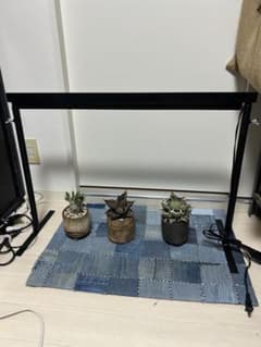 ライトレールスタンド 70 照明 アガベ 植物棚 育成ライトスタンド