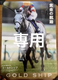よんよん様専用 ヒーロー列伝 ポスター ゴールドシップ - メルカリ