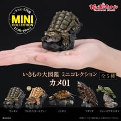 いきもの大図鑑ミニコレクション　カメ01 ミシシッピアカミミガメ　新品未開封品のサムネイル