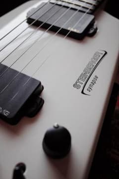 期間限定値下げ   steinberger synapse ss-2fのサムネイル