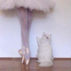 Miss L,様専用のサムネイル