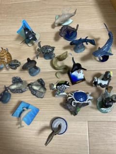水族館フィギュアのサムネイル