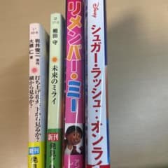 소설, 책