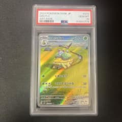 ハヤシガメ ar psa10 - メルカリ