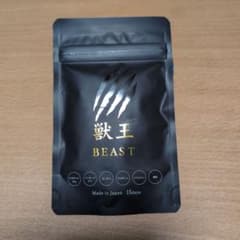 獣王ＢＥＡＳＴ①のサムネイル