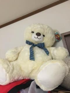 ぬいぐるみのサムネイル