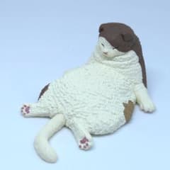 ねむい ねむい まだ、ねむい　スコティッシュのサムネイル