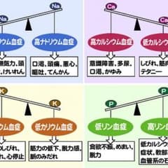 クルトガ様専用 野球 バッテのサムネイル