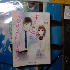 キミの隣で不器用な恋をはじめよう 野いちご文庫のサムネイル