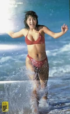 グラドル 小向美奈子 ポスター＆グラビアページセット（14カット