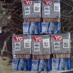 グンゼ（GUNZE）メンズYG STANDARDブリーフLL グレー5枚セットのサムネイル
