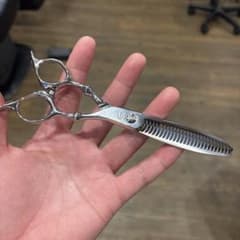 トギノン セニング ダイナザウルスのサムネイル