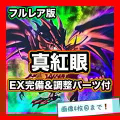 遊戯王 真紅眼 デッキ フルレア シク有り 本格構築 EX完備 デッキ