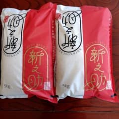 新之助 5kg 米 2袋セットのサムネイル
