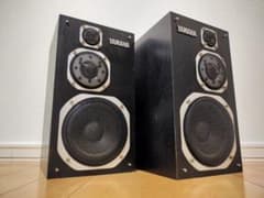 Yamaha Model NS-1000MM