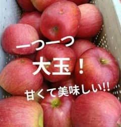 【大特価】✨️信州農家✨️シナノスイート✨️家庭用箱込み10キロ以上！のサムネイル