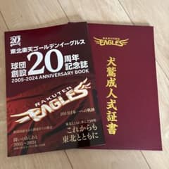 東北楽天ゴールデンイーグルス 20周年記念誌のサムネイル