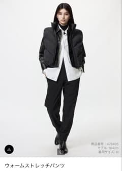 ウォームストレッチパンツ L ブラック UNIQLOのサムネイル