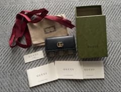 GUCCI 구찌 더블 G 바이 컬러 키 케이스