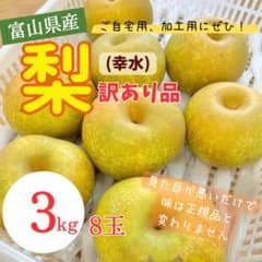 富山県産 幸水梨 訳あり品 3kg 8玉のサムネイル